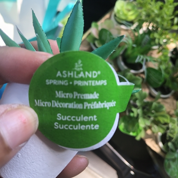 Lot Of 12 Micro Primafr Artificial Succulent Plants - Picture 3 of 11